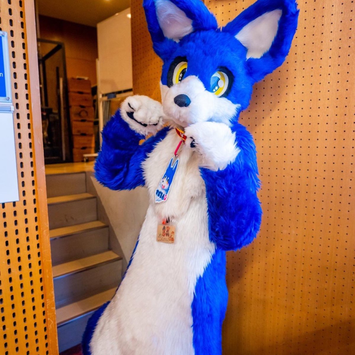 ブイ🐕‎🐱🐾 next➜ 😭 tweet media