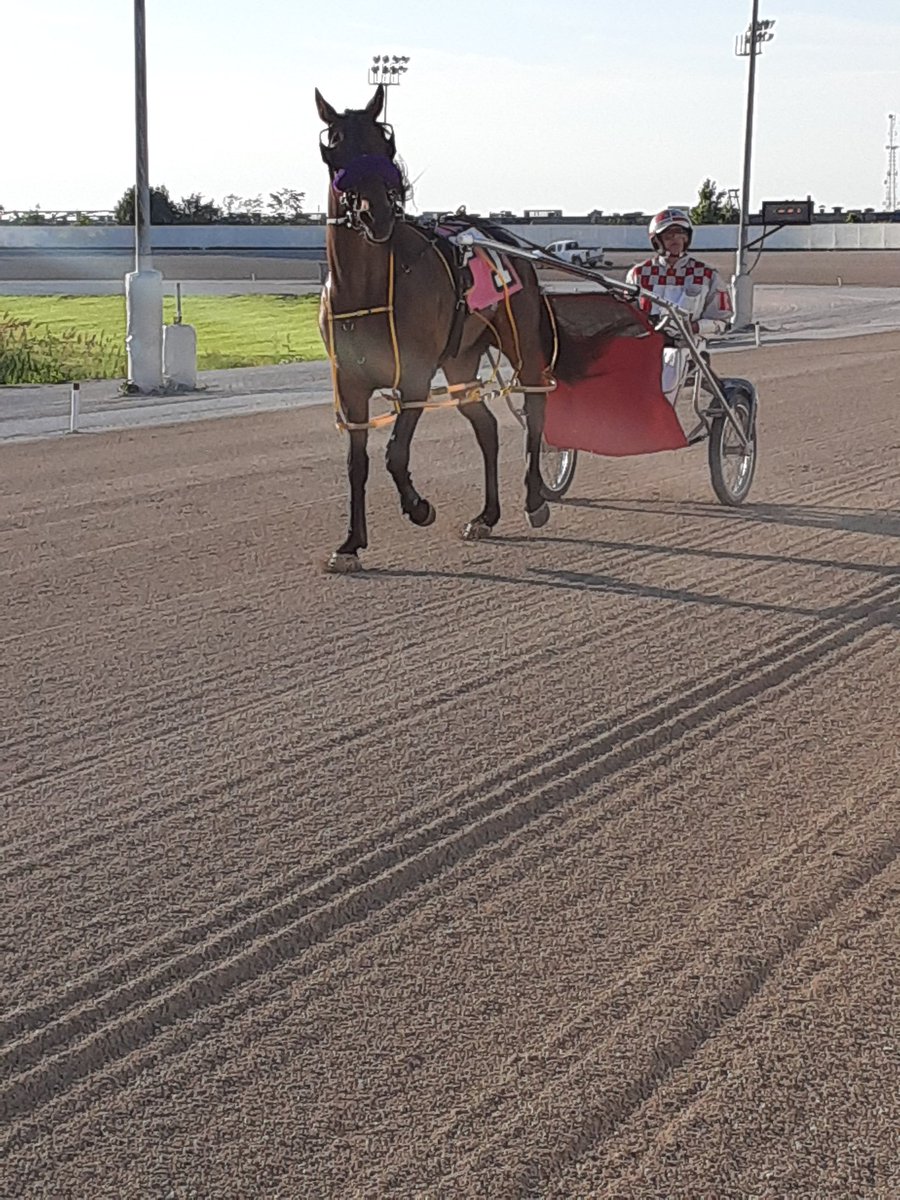 OliviaB35765681's tweet photo. Big girl was third in the second leg of the #OhioSirestakes #RainyDayChick aka #pypar #Soozy didnt do any good but we will change that @nfldpark https://t.co/MmEO3zedfk