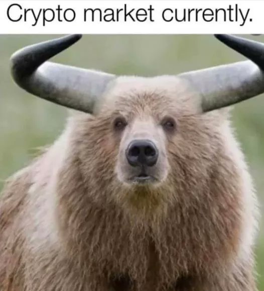 crypspin's tweet photo. Wait and see, who's gonna win 😀
#Cryptocurency #Crypto #Bitcoin #CARDANO https://t.co/vrdnJIUL2x