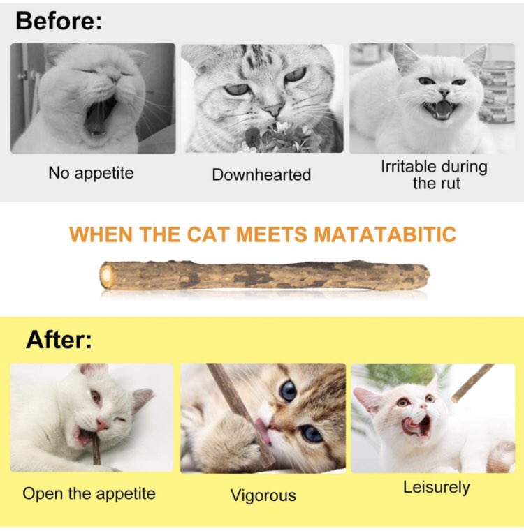 awkwardladies's tweet photo. Tag yourself I’m Irritable during the rut https://t.co/EdZvYFDpnA
