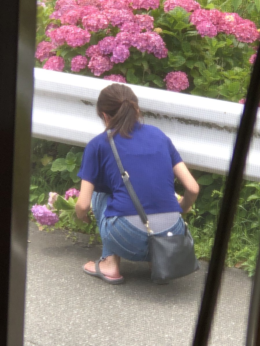 T_BAMBUS77's tweet photo. 家の前で両親が育てている
紫陽花を当たり前のように
摘み取っていく母親
それを笑って見ている子供
一声掛けてくれればね…
常識の無い大人が
常識の無い子供に育てている現実 https://t.co/45AJHw0Mfm