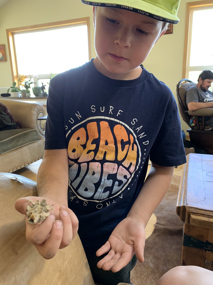 MegDesjardins's tweet photo. Hey Mom look what I found! (Heβs always finding the coolest things!) Todays adventure of digging in gopher holes yields a gopher skull! So now we are bleaching it and gluing gopher teeth back in place π€·ββοΈ π #momlife #farmkid #addtothecollection https://t.co/PWEdoMxmgE