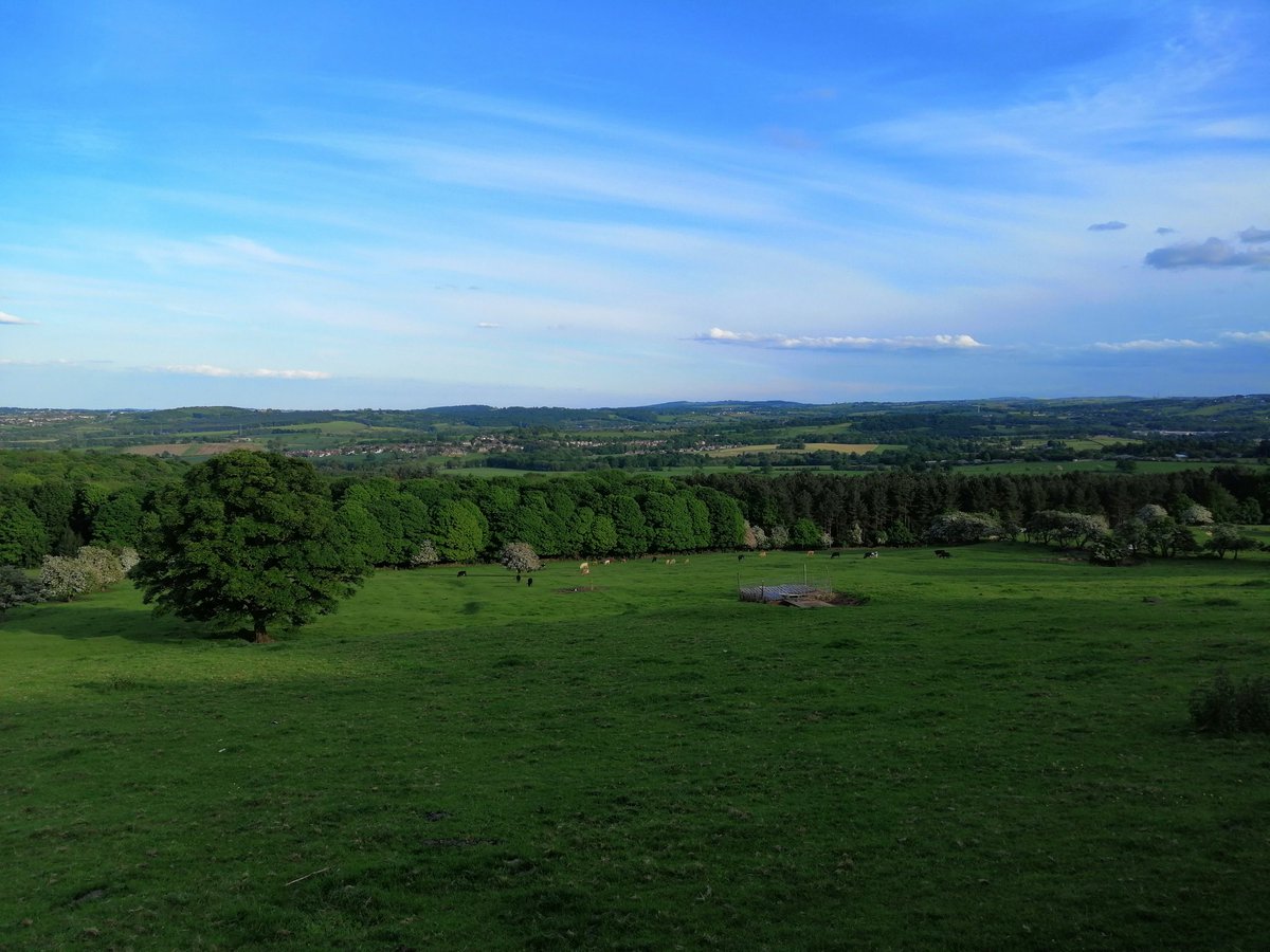 rachiew2009's tweet photo. Some snapshots from yesterday evening's walk. Loving the fresh air, sunshine and long balmy evenings. #YorkshireLawFirmChallenge https://t.co/iQC7OYIsaK