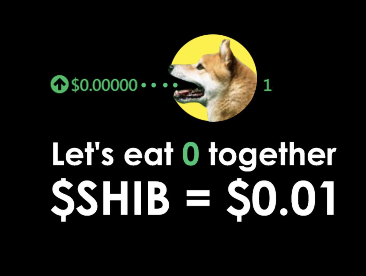 SHIBA SAMURAI⚔️🛡️ tweet media