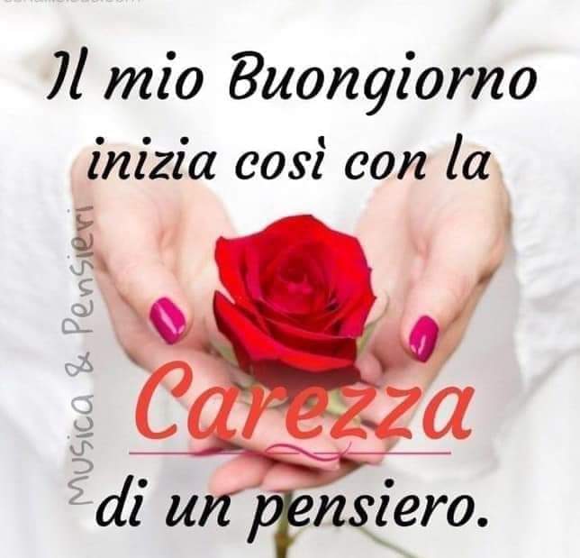 Rosaria (@rosaria28819372) on Twitter photo 