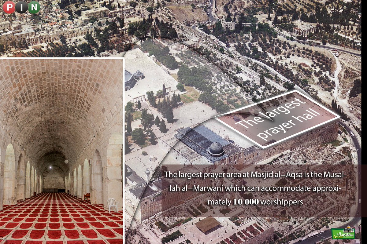 firstqiblah's tweet photo. The largest indoor prayer hall at Masjid al-Aqsa

#MasjidAlAqsa #Palestine #Jerusalem #AlQuds https://t.co/8OmQh2MGMe
