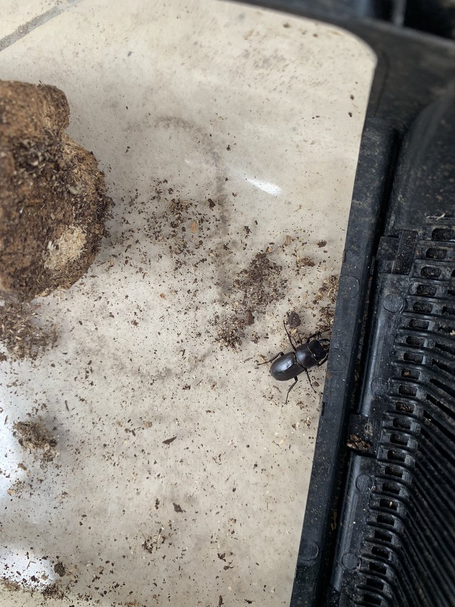 小川裕樹 Yuuu Twitter