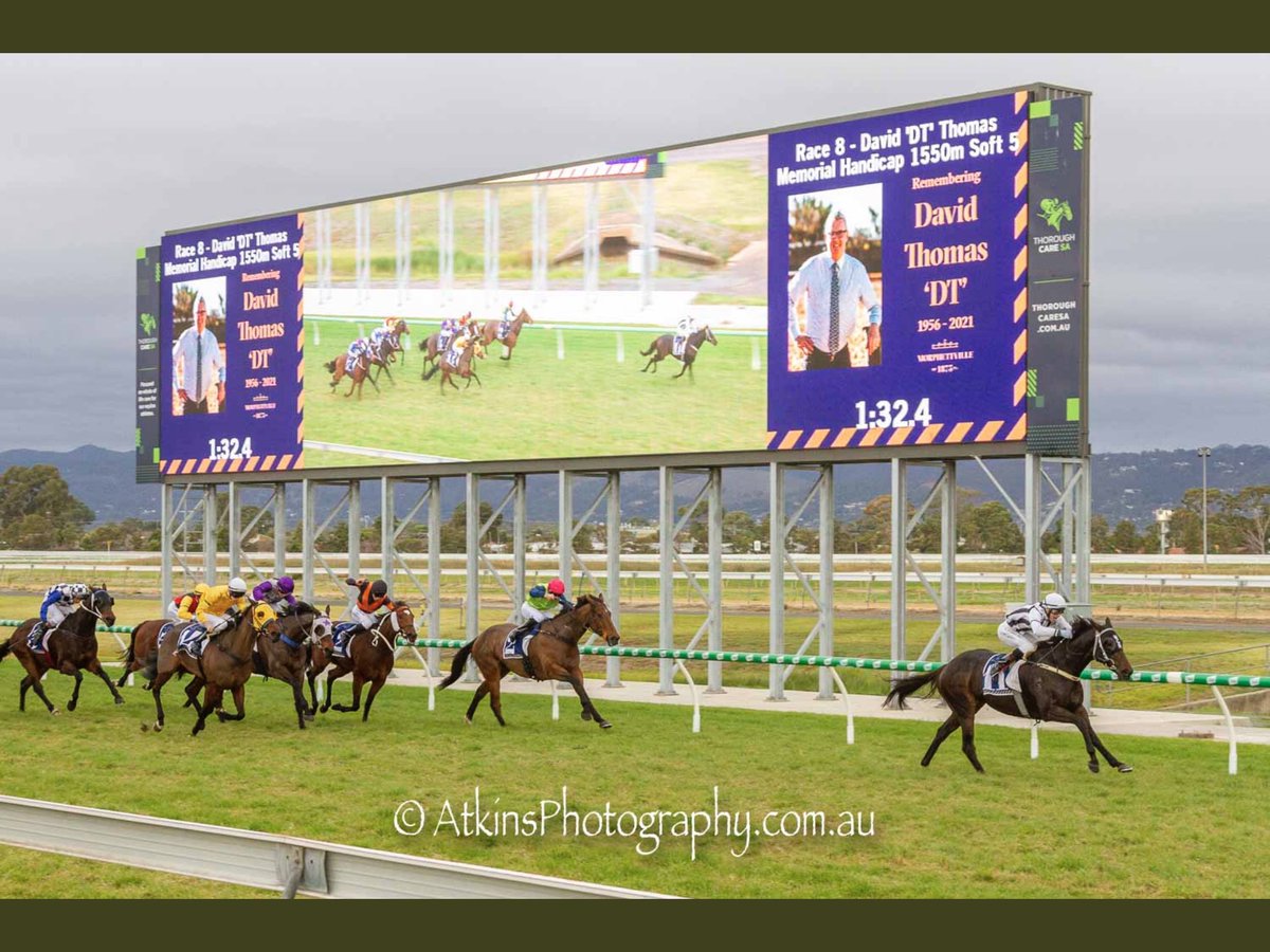 Pearl Bandit tweet media