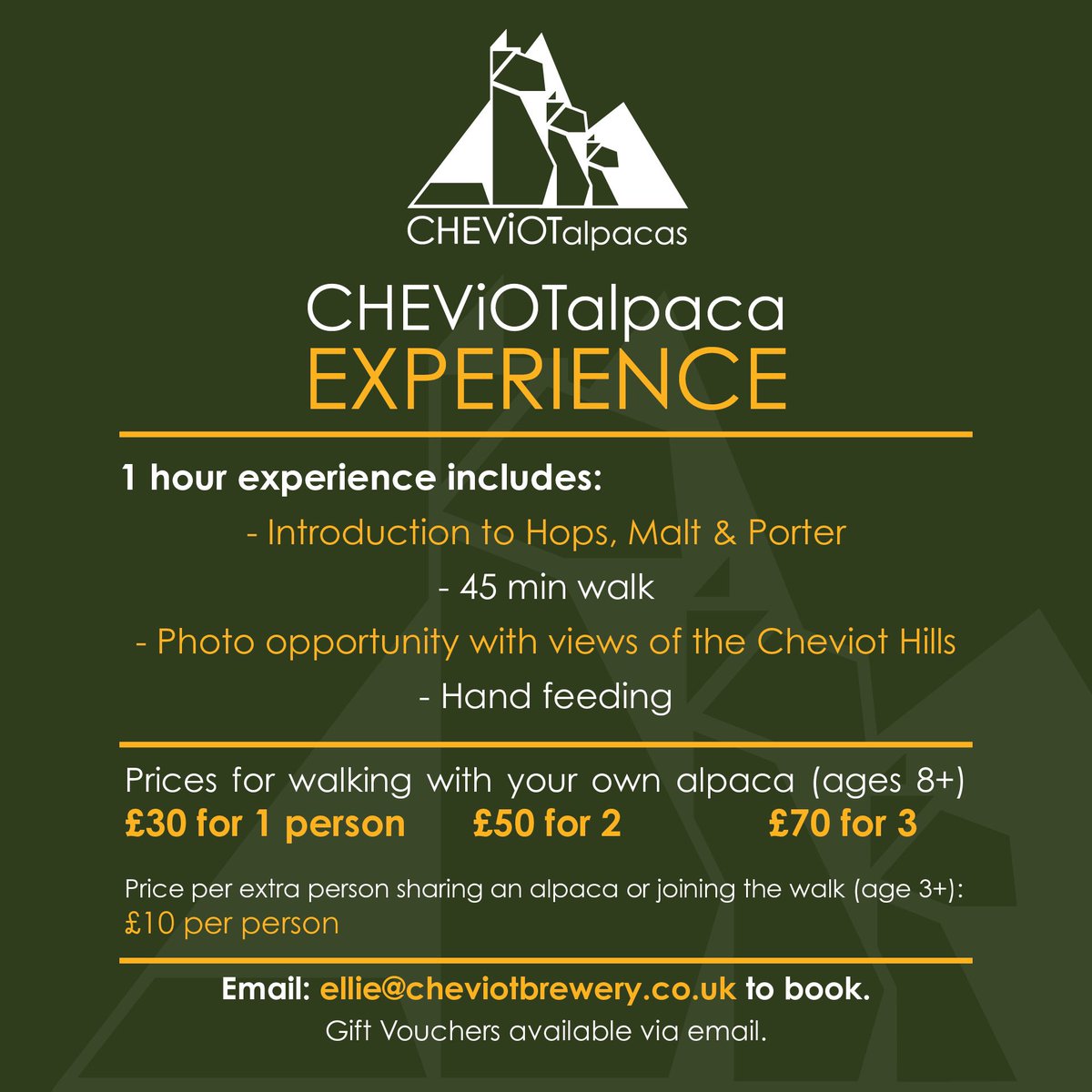 Recently announced the #cheviotalpacas #alpacaexperience 

Come meet Hops, Malt & Porter #alpacas #brewery #glamping