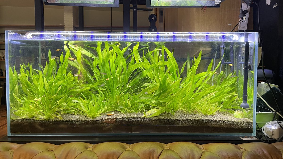 阿努纳齐on Twitter 换了新的led灯 感觉状态不错