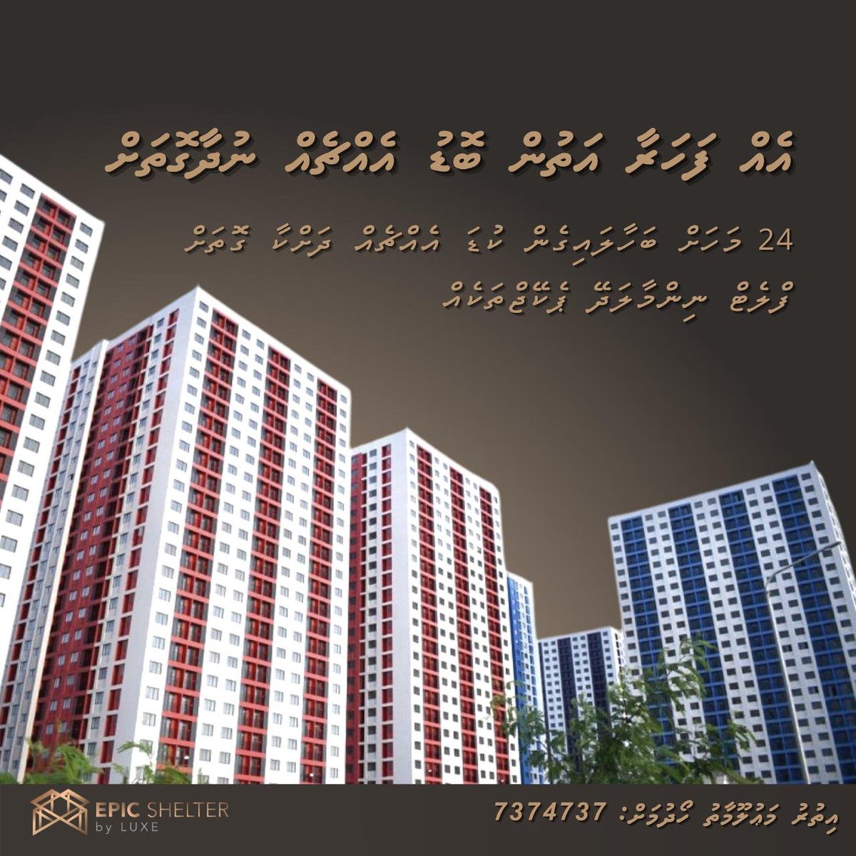 EpicLuxe's tweet photo. !ހިޔާ ފްލެޓްތަކަށް ހާއްސަ
🏘Make your flat your dream home! And making your dream home doesn’t have to drain out your budget. Here at #Epicshelter we have got you covered with the most flexible installment options and unique packages.

#EpicShelterbyLuxe https://t.co/oXGyv9YfVU
