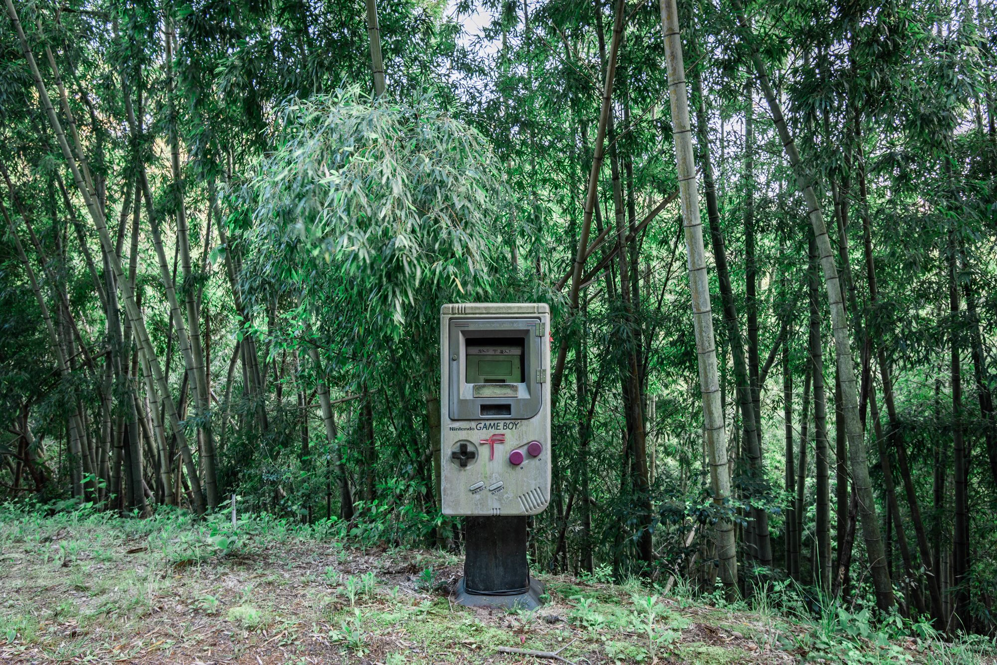 隠れた珍スポット？山奥にひっそりとゲームボーイの形をしたポストがあるwww