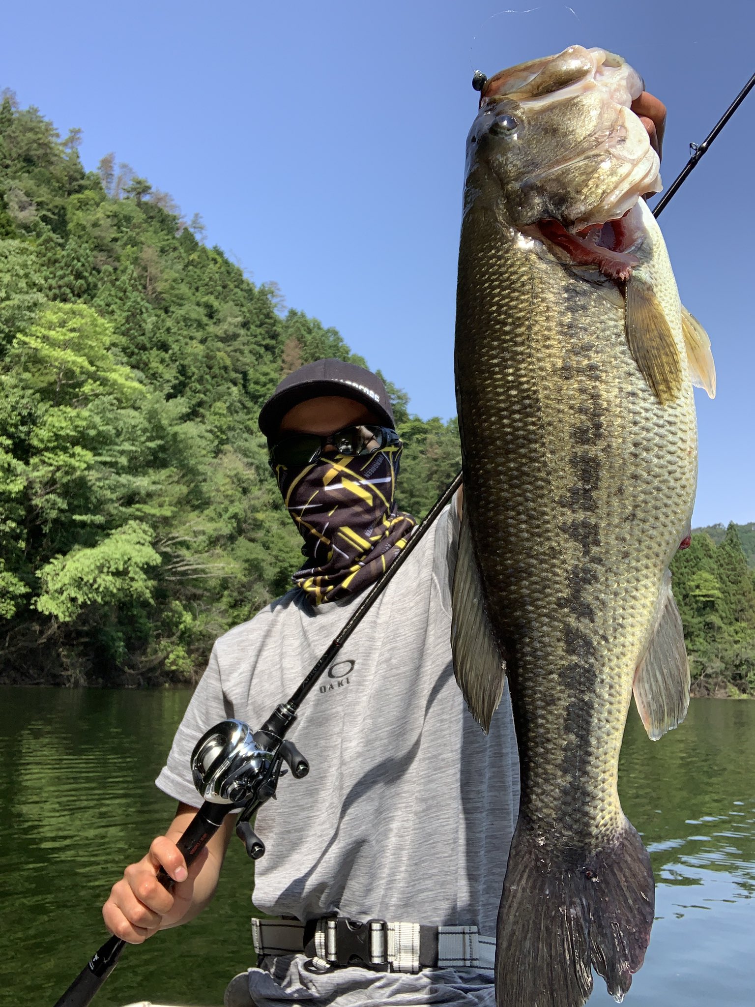 Shunsuke F Bass1925 Twitter