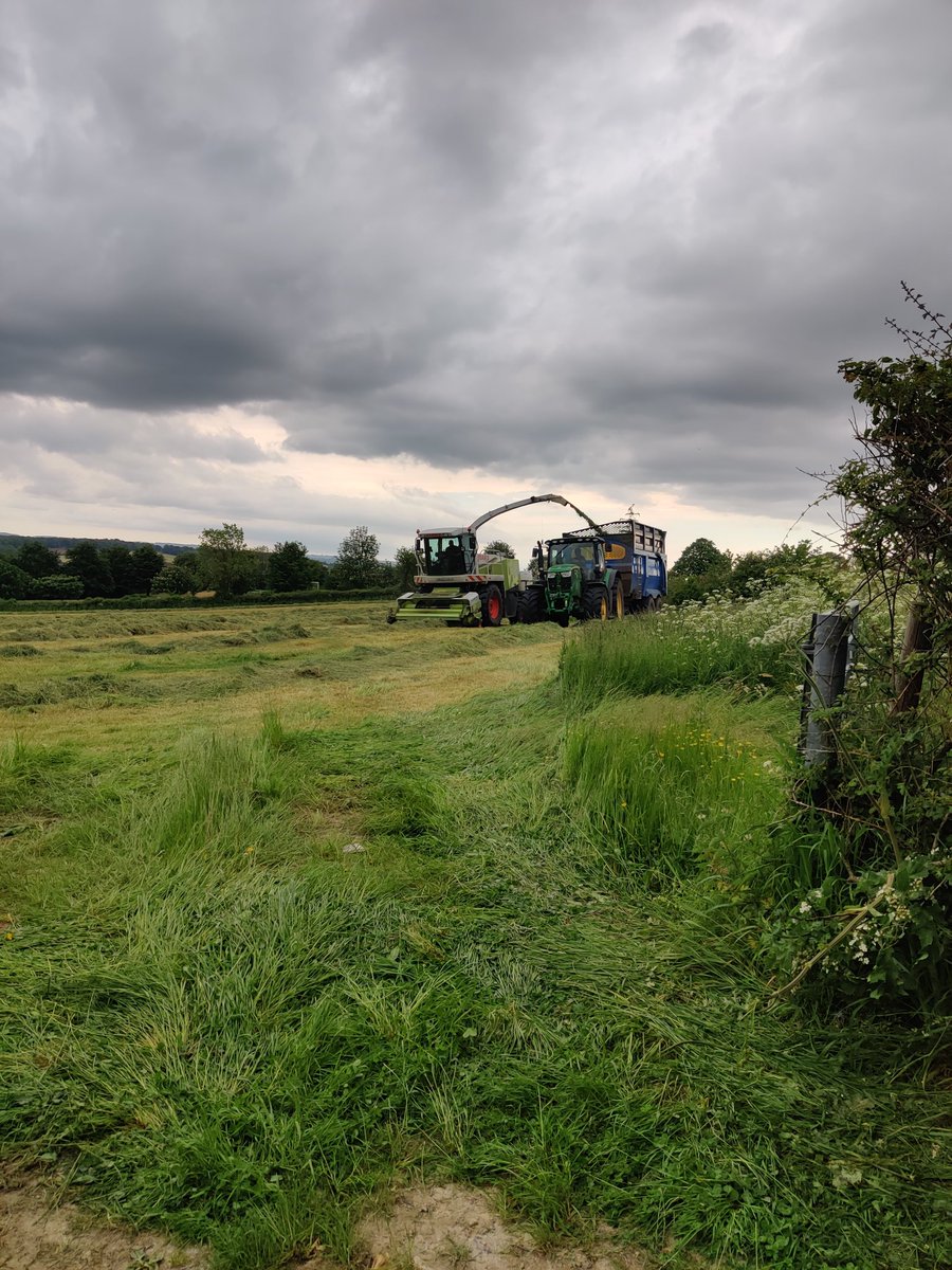 FootTrailsUK's tweet photo. Farmers work to cut the grass beneath heavy grey skies.
#farming #countryside #FootTrails https://t.co/Cwg7rDXm7f