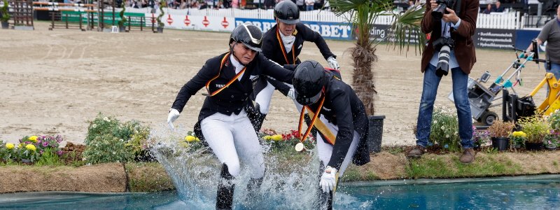 Hengst Elastico fällt nach zwischenzeitlichem Fieber aus – PCR-Test ist negativ - reitsport-events.com/hengst-elastic…