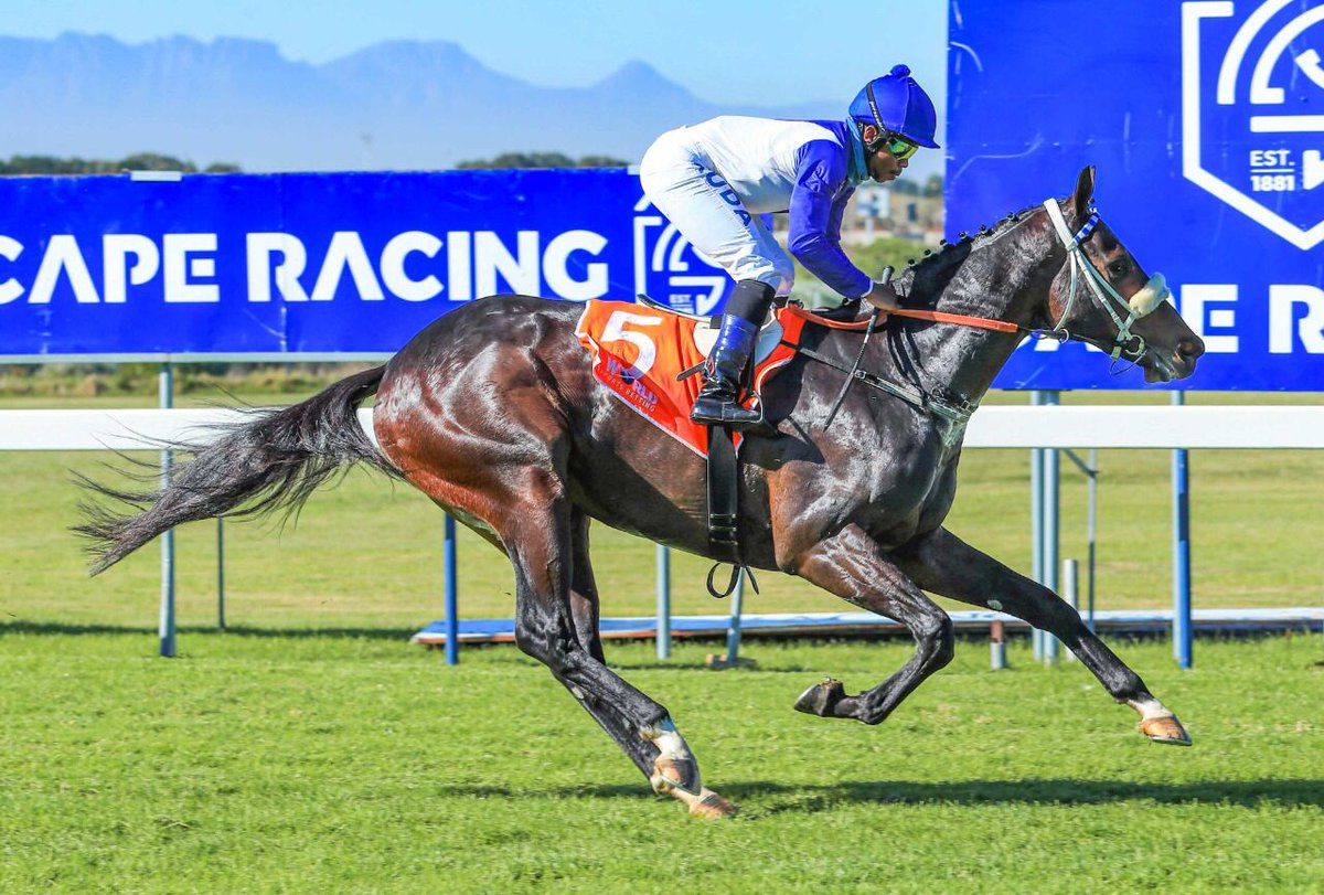 SandileMJock's tweet photo. My 3 winners at Kenilworth yesterday 🔥🔥🔥
Well done to all the connections of Fifty Fiver, Fly To Rio (on inside) and Lets Boogie Baby. Thanks to @vhmracing and Mr Ennion stables and the owners and my sponsors @Kuda_Insurance #inyourcorner https://t.co/TuR9G6RzZr