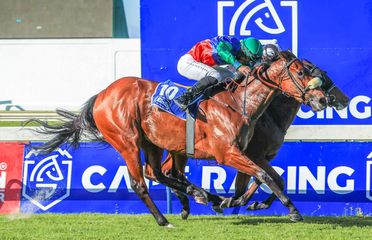SandileMJock's tweet photo. My 3 winners at Kenilworth yesterday 🔥🔥🔥
Well done to all the connections of Fifty Fiver, Fly To Rio (on inside) and Lets Boogie Baby. Thanks to @vhmracing and Mr Ennion stables and the owners and my sponsors @Kuda_Insurance #inyourcorner https://t.co/TuR9G6RzZr