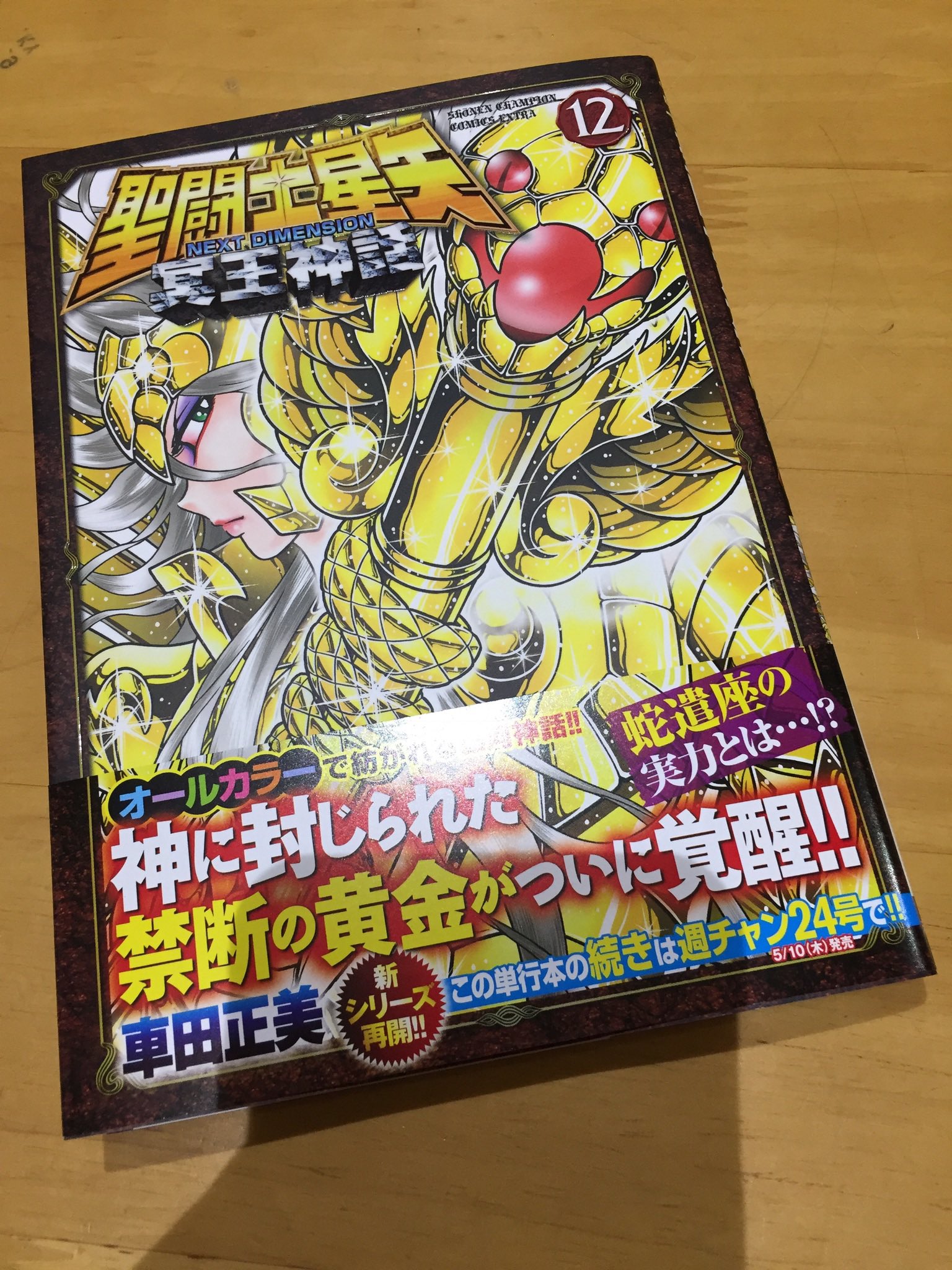 ダークサイド月 聖闘士星矢 Next Dimension 冥王神話13巻やっと出る 3年くらい待ったな そしてfinal Editionってなんだ 車田正美先生超大幅加筆 完全新生 ストーリーは同じなのか T Co Ryogkyuaea Twitter