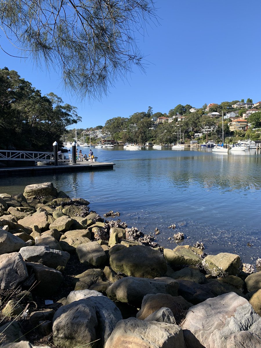 ServicesVacuum's tweet photo. It’s been a very chilled weekend for us at Australian vacuum Services #vacuumengineers #relax #tunkspark #sydney #rugby #latte #coffee #nanotechnologytommorrow @ServicesVacuum @Kunnykun https://t.co/S4qppgsS2D