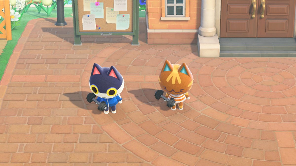 Sibcat_anything tweet media