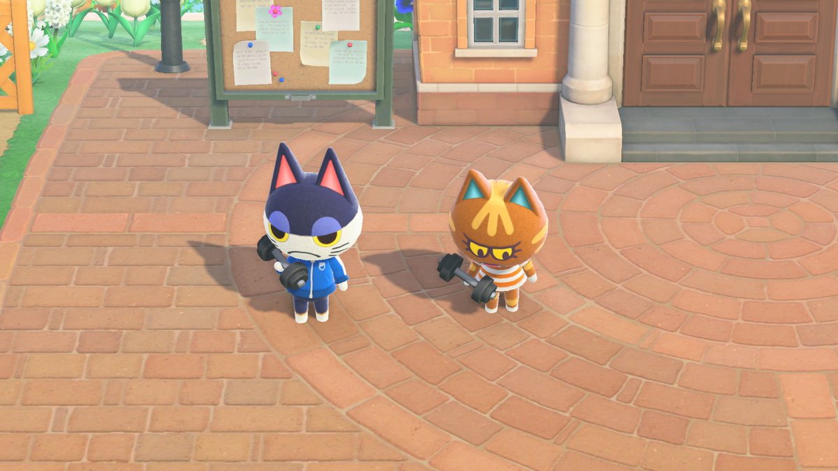 Sibcat_anything tweet media