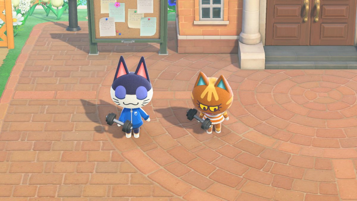 Sibcat_anything tweet media