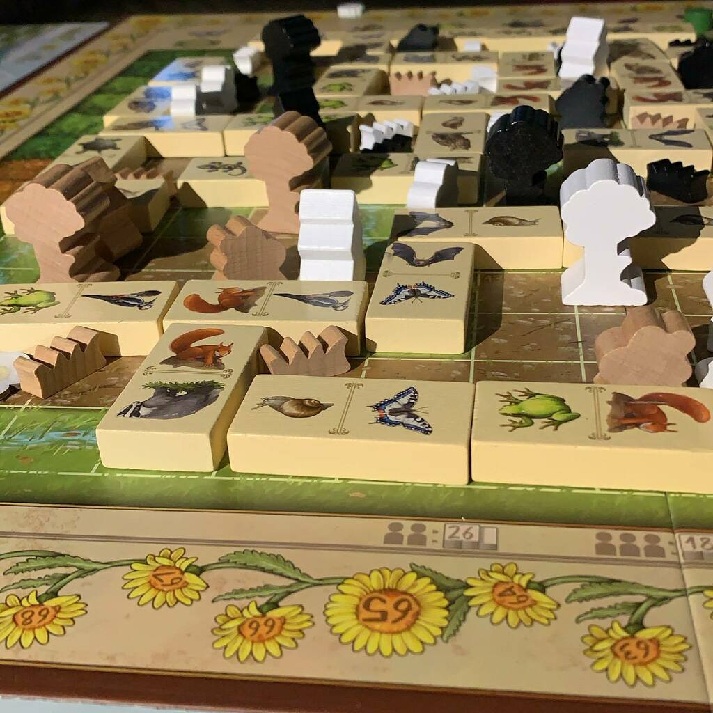 thegamesplainer's tweet photo. Game 157/2021 #andyetanotheryearofgames #renature #deepprintgames #capstonegames #bgg #boardgames #boardgamenerd #boardgamegeek #boardgamesofinstagram #tabletopgames #gamenerd https://t.co/tK7XIMPSnZ https://t.co/0edRZqd9oI