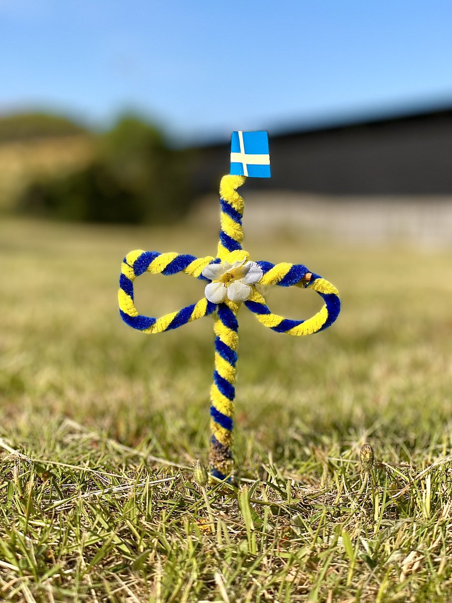 Grattis Sverige 🇸🇪 💙💛
#NationalDagen