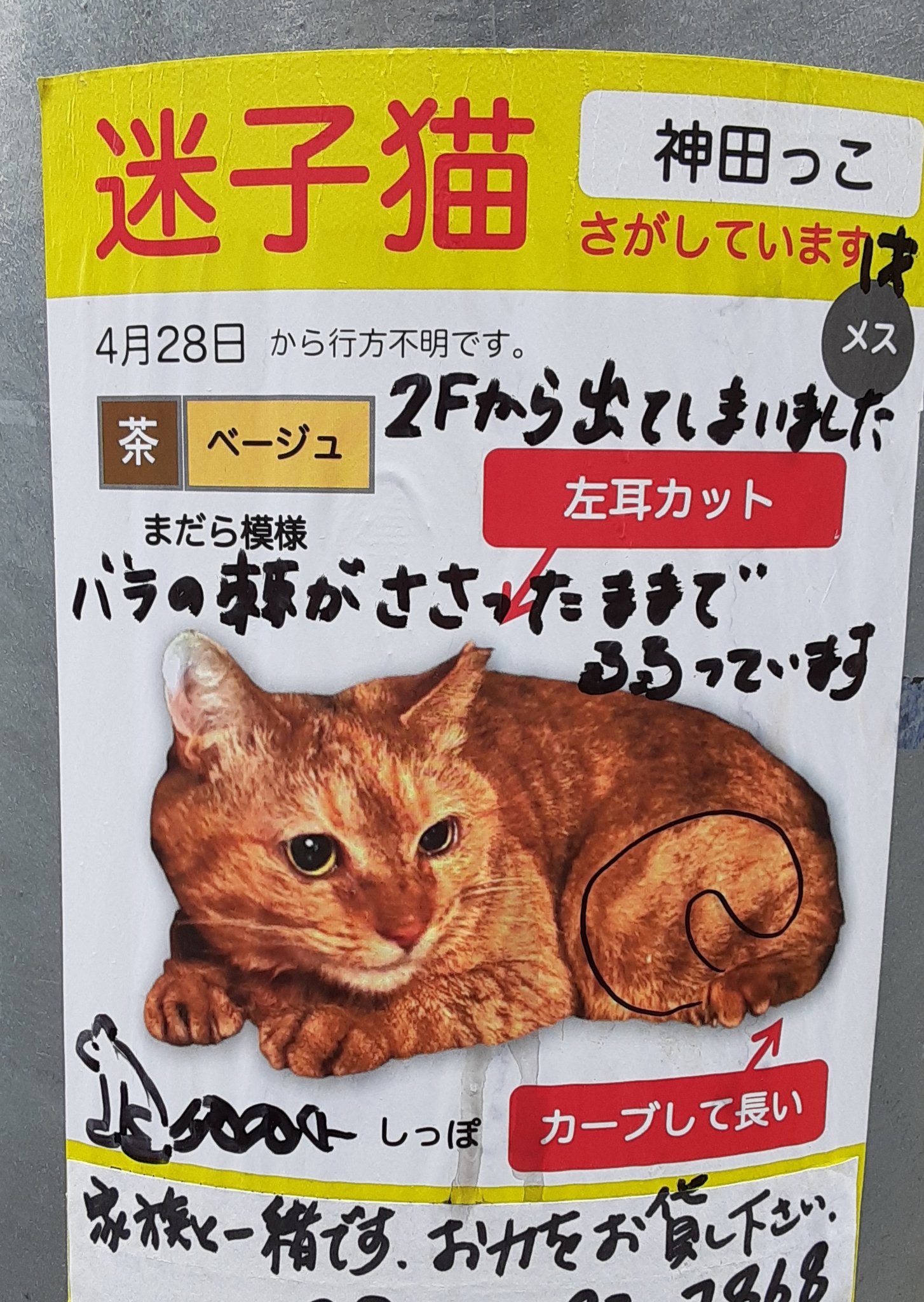 Maeda りびけん Takaaki 肩甲骨端破損 ケッタコケた りびけんが自転車で転倒 骨折 と聞けば また酔っ払いがしょうもな と思われるだろうが 違うからな 俺でもそう思うから非難はしない シラフの夜道に飛び出してきたネコがフリーズしやがって