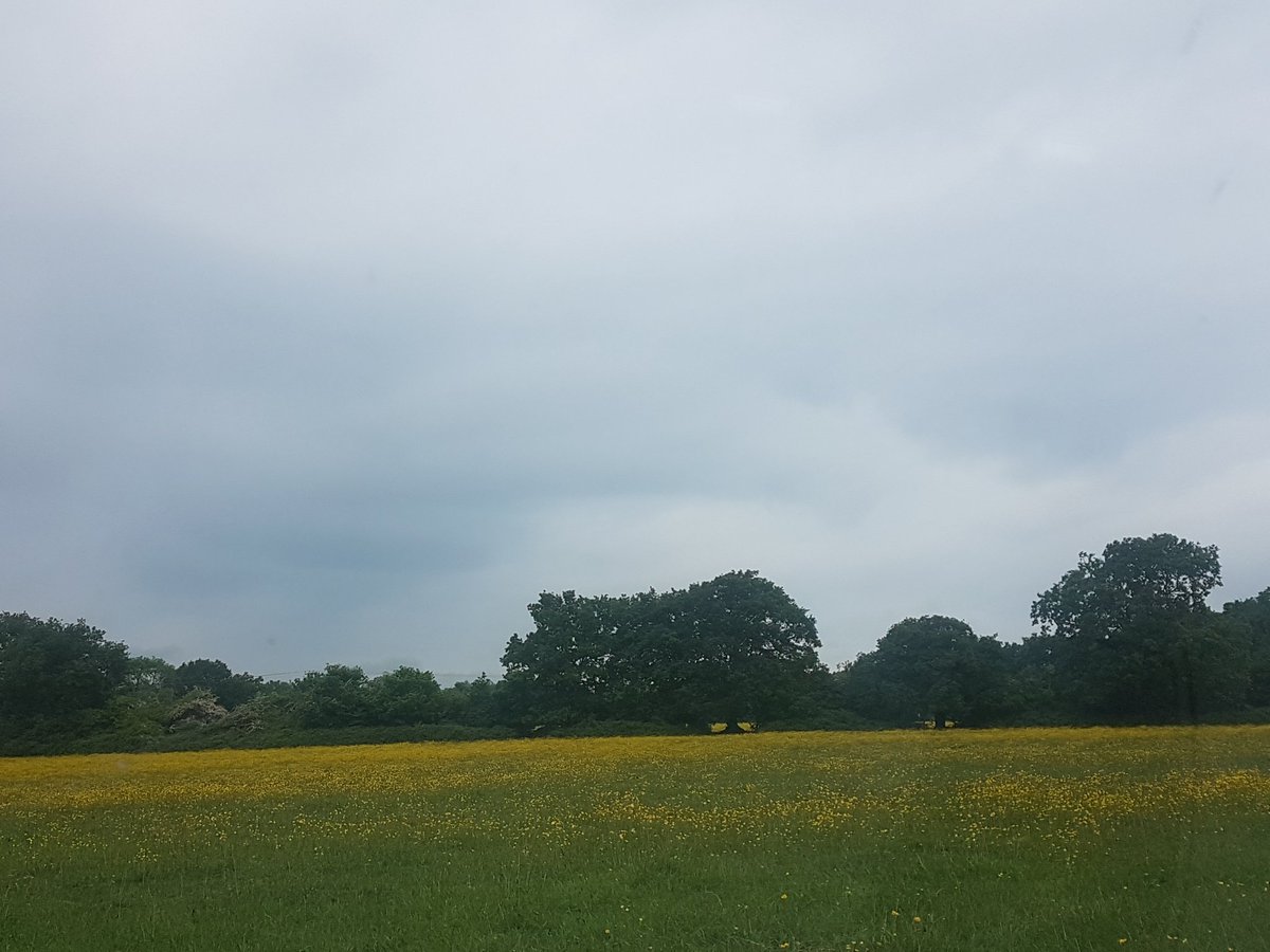 FieldSearchers's tweet image. Morning everyone good luck to anyone metal detecting today