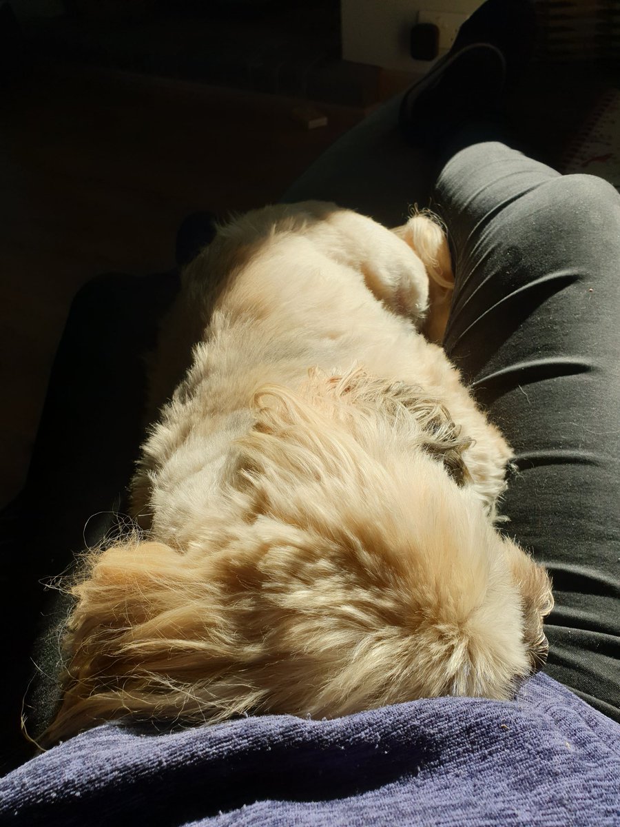 George Mears tweet media