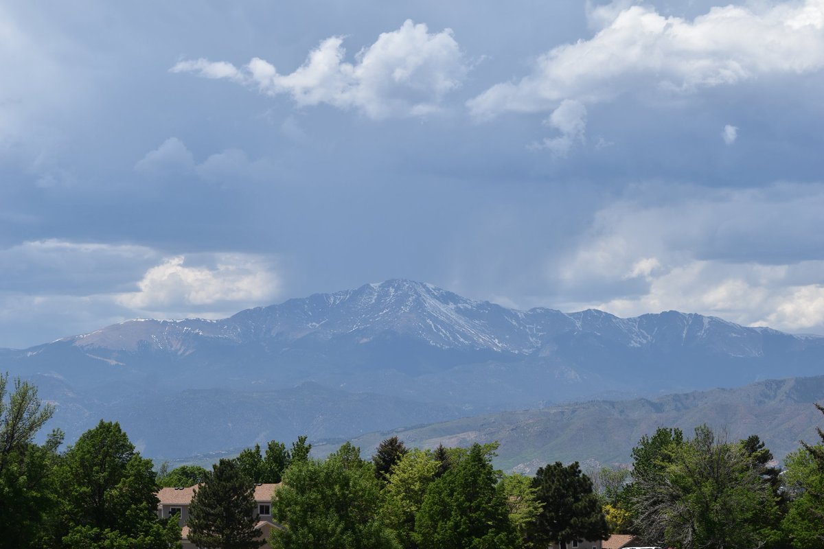 diary_peak tweet picture