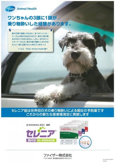 Ellie Disordermonste7 Nakanmia Makidekazu Xxmlgfpqyxtcoxf Nakanoi Miaki Clockwork Peach Citizen 0313 フリーアナウンサー有働由美子さんの犬 でもこの手は石田ゆり子さん 手乗りワン T Co Ftncnezrgs T Co Irug3zl33g Ellie Disordermonste7 Nakanmia Makidekazu Xxmlgfpqyxtcoxf Nakanoi Miaki Clockwork Peach Citizen 0313 フリーアナウンサー有働由美子さんの犬 でもこの手は石田ゆり子さん 手乗りワン T Co Ftncnezrgs T Co Irug3zl33g
