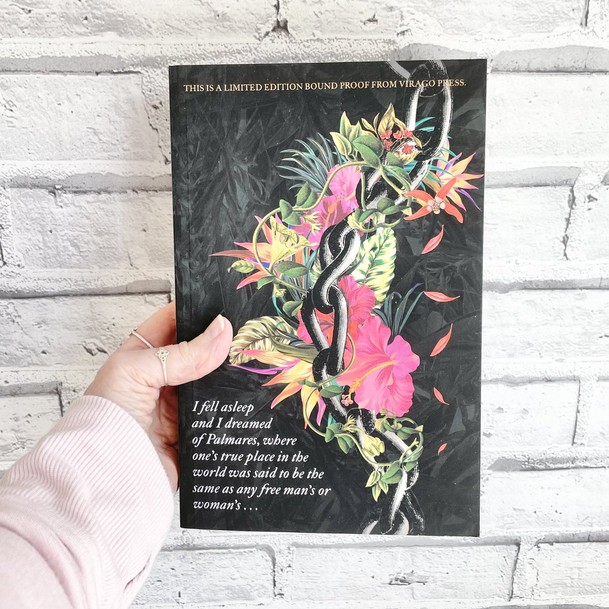 TwistedinPages's tweet photo. Thank you to the team at @ViragoBooks @hayleycamis for this stunning proof. This one really is a beauty! ๐ค
Palmares by #GaylJones is out on 14 September.
#giftedproof #reviewproof #bookmail https://t.co/3TXL7Vc0nu