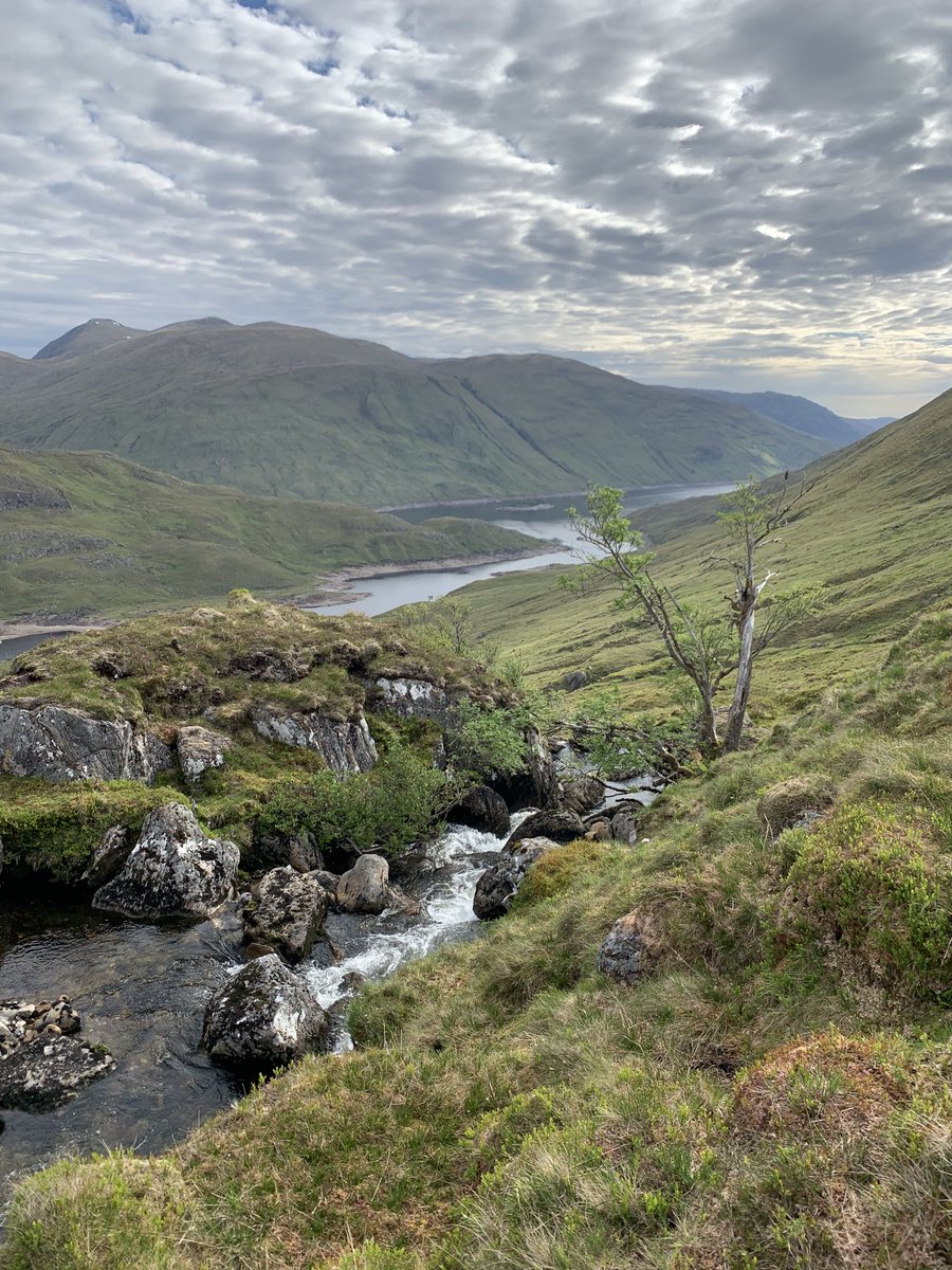dektasker's tweet image. Some pics from Saturdays walk around loch Mullardoch. Boat in and out and 5 bagged. Epic trip in the blistering heat