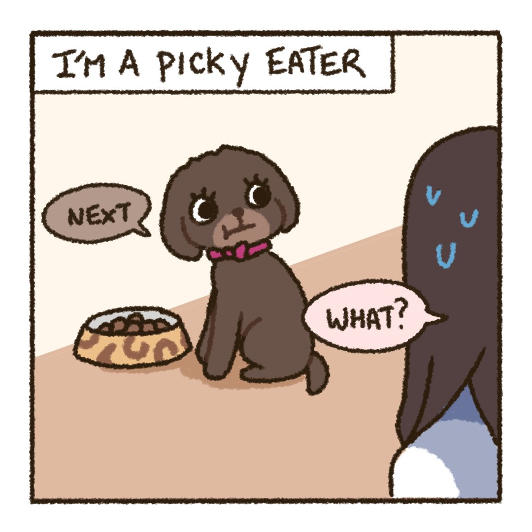 cinamoncune's tweet photo. A little introduction of my dog, Coffee! ☕️ https://t.co/5D8gtmt1Rq