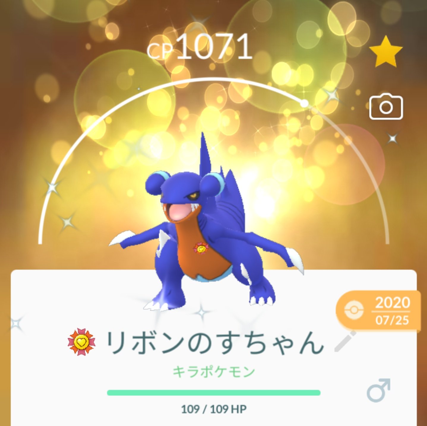 のすけ ごゆ Tokotokorokon こんなの報告してもどうせ って感じでした いや ほんとに メガガブリアス早く実装してほしいです 色違いガブリアスは分かりづらいけど目がガブリアスは色違いがはっきりしてるんです T Co