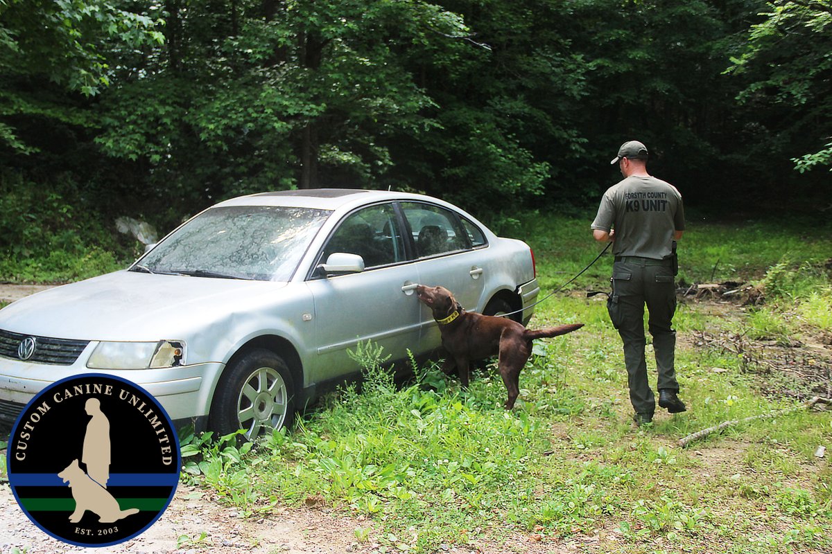 CustomK9Unltd's tweet image. We had the pleasure of having #k9handlers from 
ForsythCountySO
 come to our facility for certifications this week! Here's some shots of #k9 "Buzz" with Handler Noah Sprague, Great job!

#k9s #lawenforcement #k9training #k9trainer #policek9 #k9unit #k9team #forsyth #forsythcounty