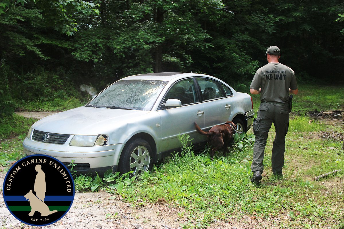 CustomK9Unltd's tweet image. We had the pleasure of having #k9handlers from 
ForsythCountySO
 come to our facility for certifications this week! Here's some shots of #k9 "Buzz" with Handler Noah Sprague, Great job!

#k9s #lawenforcement #k9training #k9trainer #policek9 #k9unit #k9team #forsyth #forsythcounty