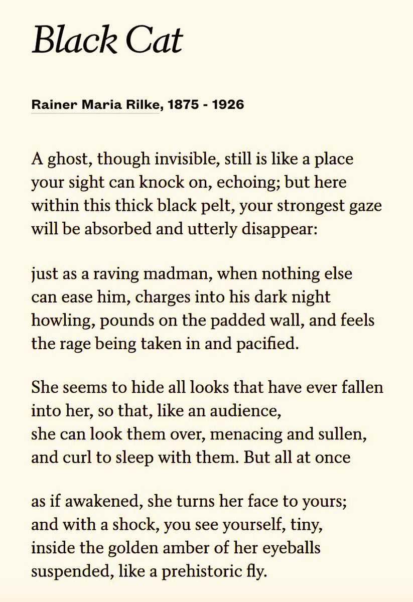 phcminds's tweet photo. 'Black Cat' poem by Rilke and 'Black Cat' painting by Dillon Samuelson. https://t.co/k2onkjR1Zq