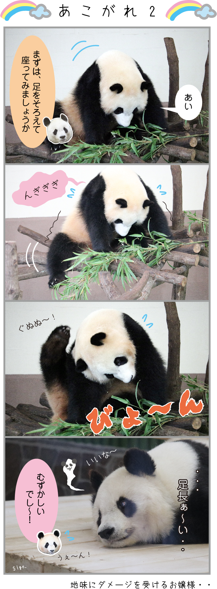 パンダライター 二木繁美 Sigepanda かわいい座り方とは 彩浜 タンタン パンダ Panda T Co Yyznw6mitw Twitter