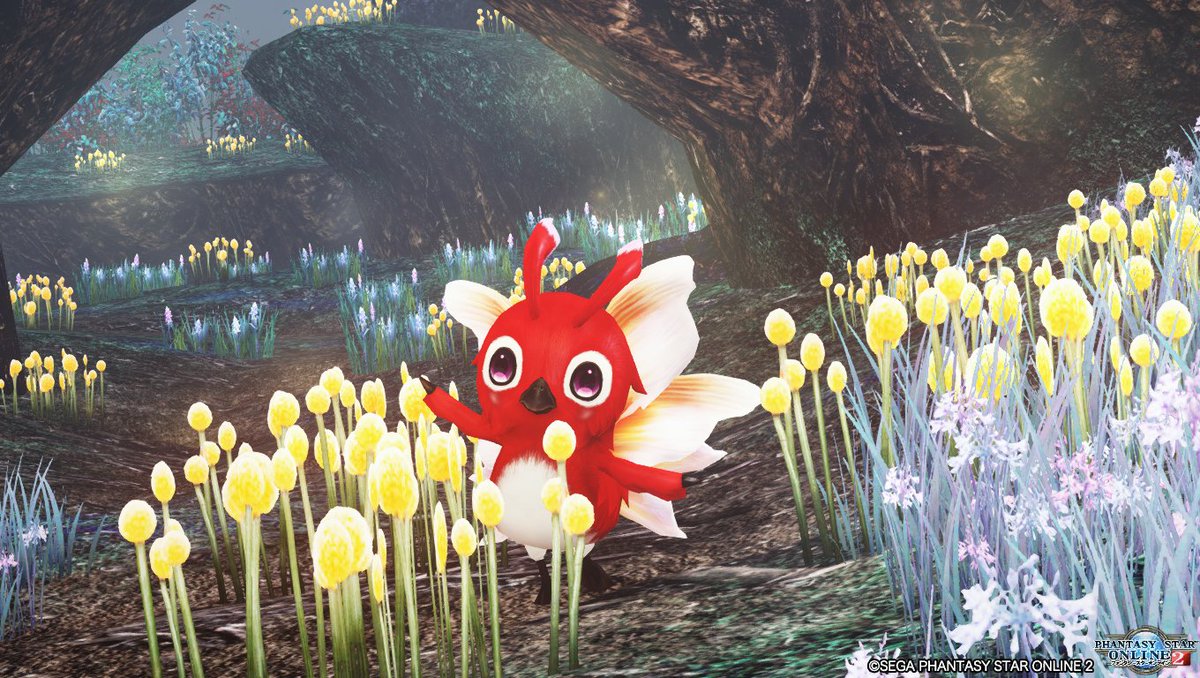 今日は旦那と幻惑の森で遊んできたっきゅ♪
なんだここは。こんなに楽しいところだったっけ？
#ラッピー #メンテの日じゃないけどss貼る  #PSO2_SS