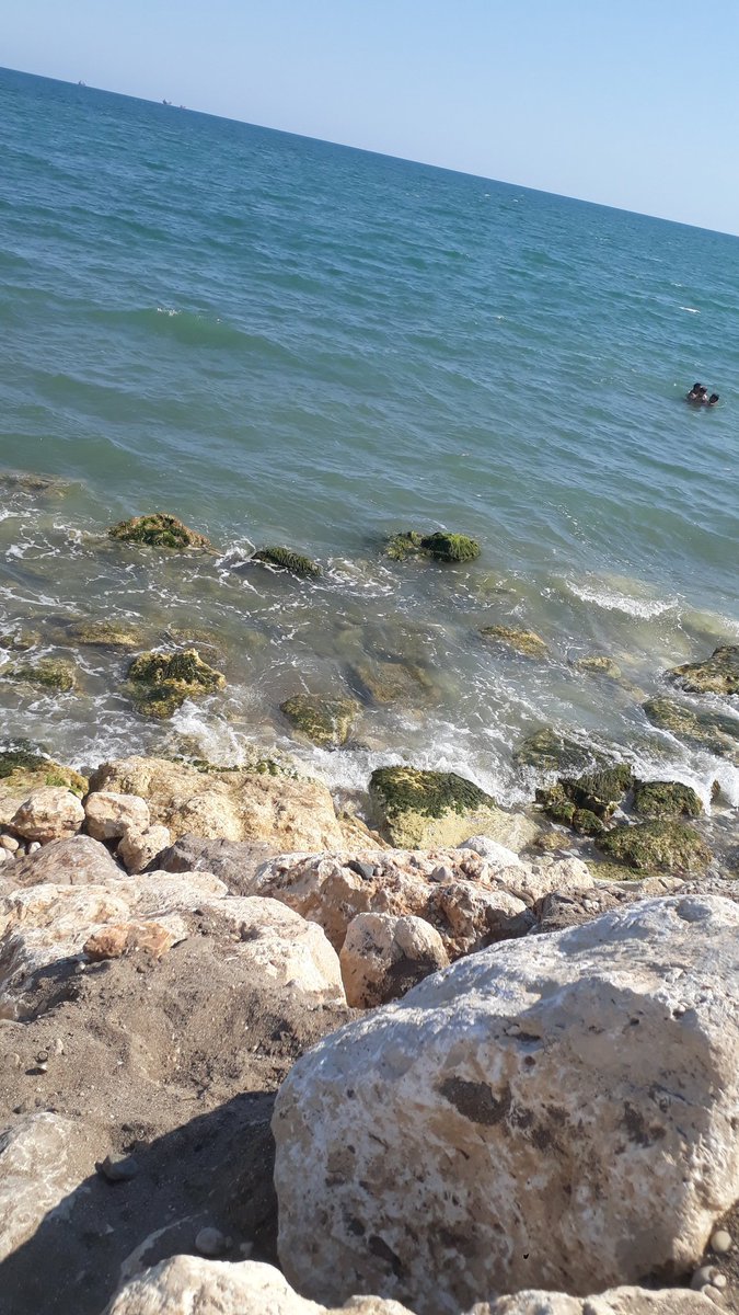 Okan33341's tweet photo. #mersingay#mersincarsi #mersingaykimler     mersin carsi yeri araci olan  iri aletli aktifler https://t.co/gsgD4lNFtZ