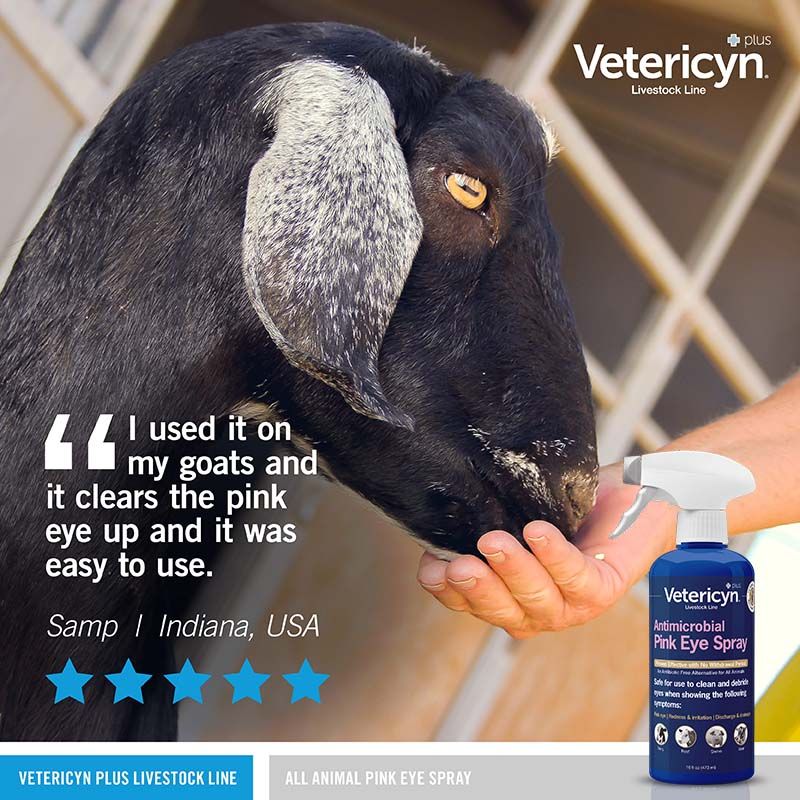 Atwoods_Stores's tweet photo. In the barn or on the farm, your livestock can struggle with eye and skin issues that can affect your whole herd. Be proactive and check out Vetericyn's animal wellness products at your local Atwoods or online here!: https://t.co/y4sg1aVuqM
#AtwoodsRanchAndHome #Vetericyn #Farm https://t.co/yCAuMWzzEu