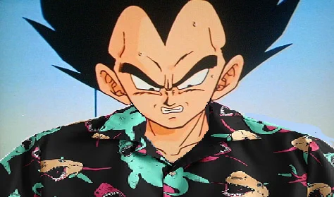 @fuchiyamori なぜだ…！？なぜ頼んだプロテクターが届かんのだ！？ 