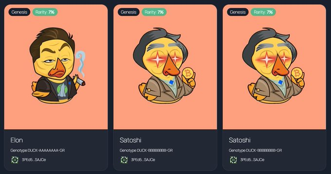 swieberde's tweet photo. I love PikaDuck - it mean #Pikachu #Duck :) 
Pikachu is a famous cartoon, and also a very good game around the world. Naming PikaDuck can help attract more duck hunters to us.
 #WavesDucks $WAVES #RideOnWaves https://t.co/oebzjbKvpK
