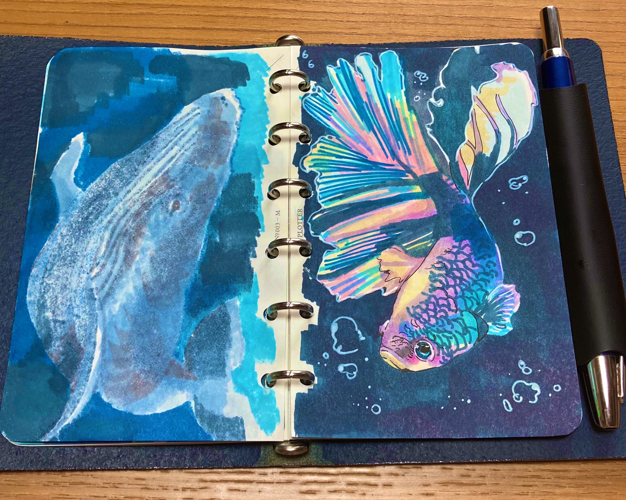 Twitter 上的 こだま ベタを描きました 綺麗な魚見るのも描くのも好きです 昨日描いたクジラさんが裏写りして見てますね 笑笑 イラスト 動物イラスト 魚 手帳の中身 手帳 プロッター Ohuhu T Co 32gchfe4yt Twitter