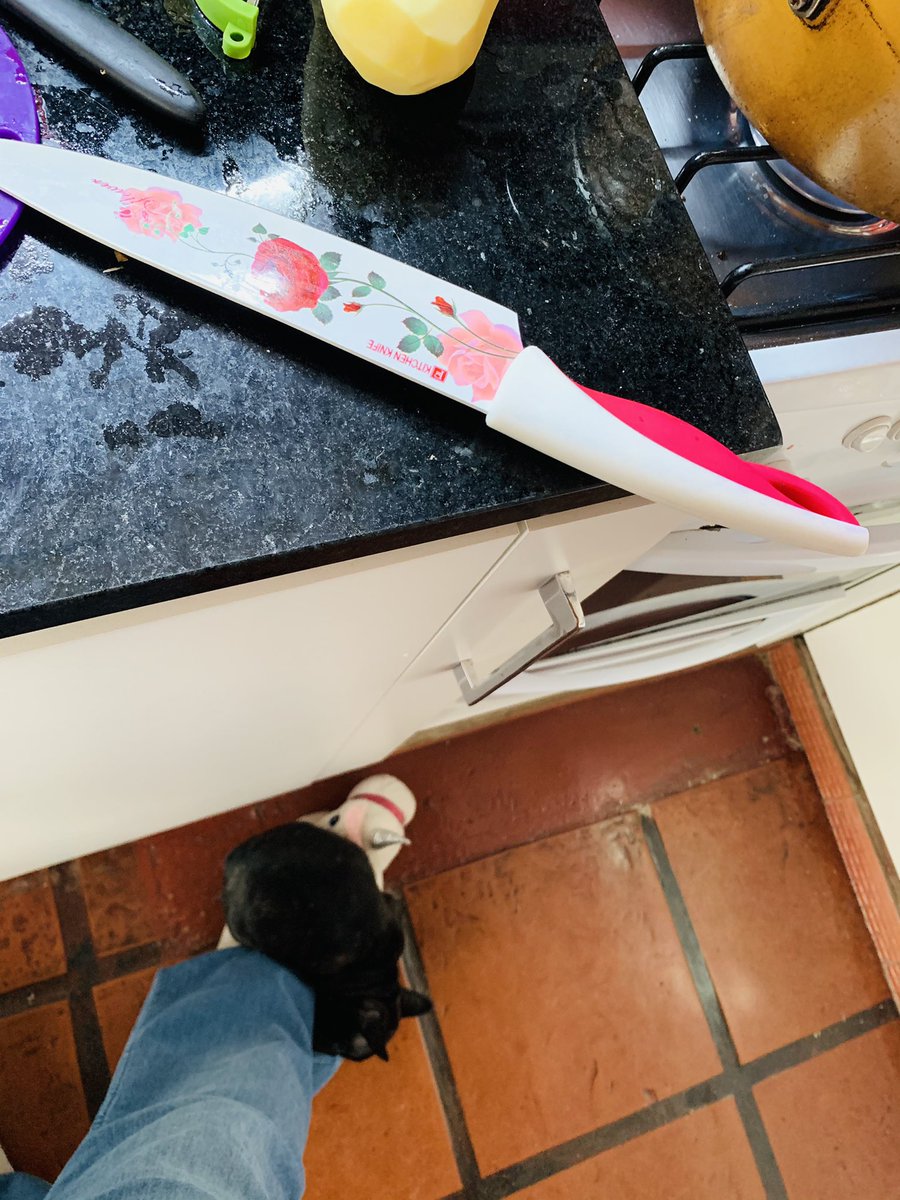 GiselleAguero's tweet photo. Tratando de hacer una ensalada rusa con el #toxico 🤷🏻♀️ #perro #perros #perrohumano #perrito #cachorro #mibebe #Argentina https://t.co/7leyDuL8u4