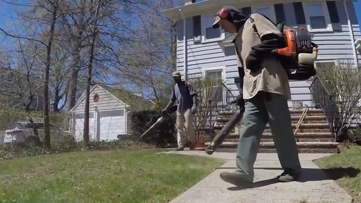 diannedoctor's tweet image. at 12n @My9NJNow our panel @JeanetteNJ @DanCassino @BrendanWGill @markjbonamo take on #NJprimary can  @Jack4NJ be Trumped? + We debate NJ’s #leafblowerban + a big race returns to the Shore @PtPleasantBchNJ