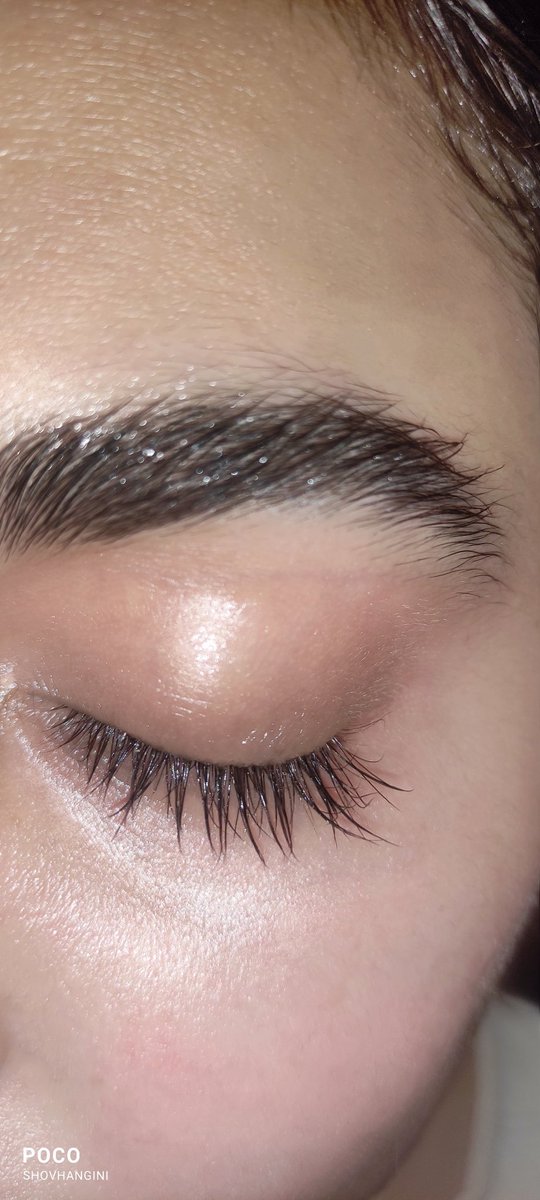 Shovhangini's tweet photo. Lastisse + castor oil best combo!

#lashes #brows #skincareroutine https://t.co/5J1FpxX2jk